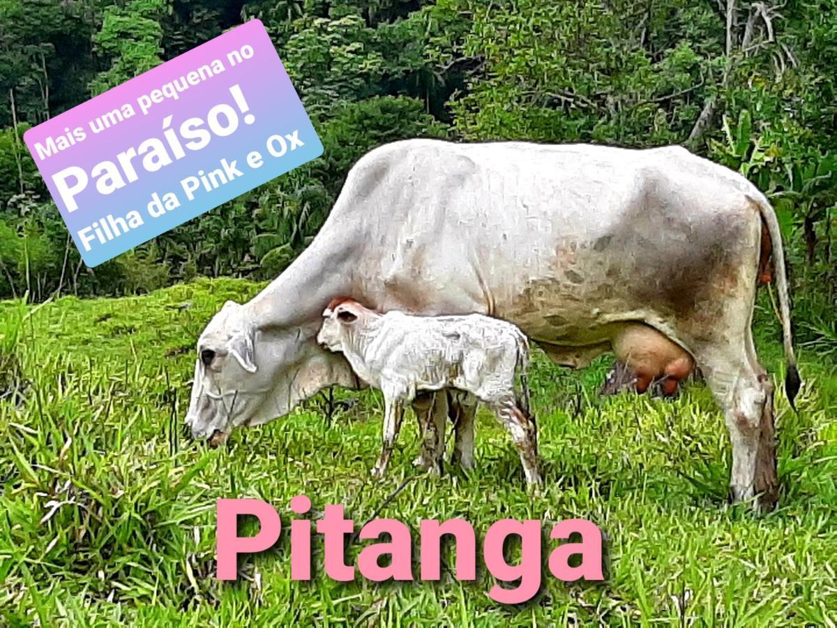 Fazendinha Paraiso Lumiar Luaran gambar