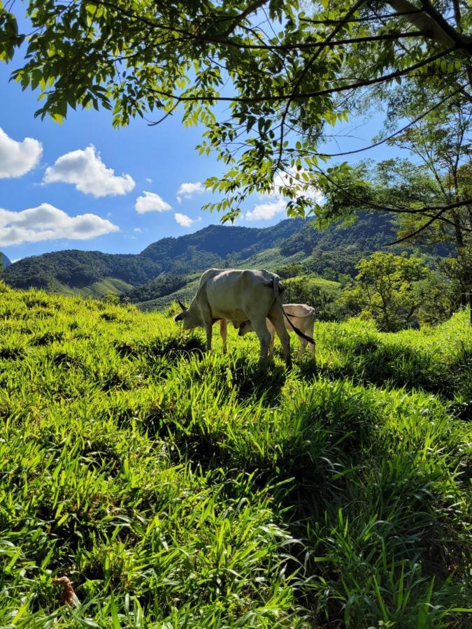 Fazendinha Paraiso Lumiar Luaran gambar